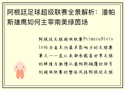 阿根廷足球超级联赛全景解析：潘帕斯雄鹰如何主宰南美绿茵场